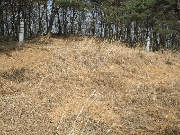 충청남도 당진시 고대면 옥현리 산52 외 2필지 임야 경매 사진 7
