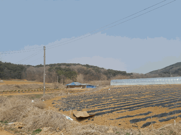 충청남도 당진시 고대면 옥현리 산52 외 2필지 임야 경매 사진 9