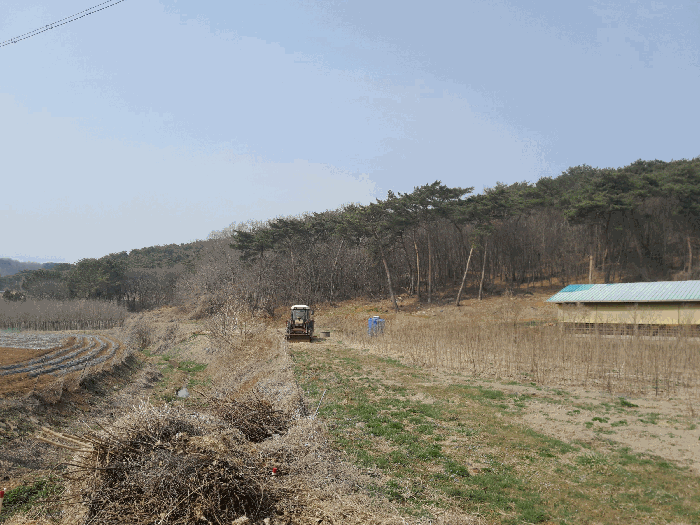 충청남도 당진시 고대면 옥현리 산52 외 2필지 임야 경매 사진 10