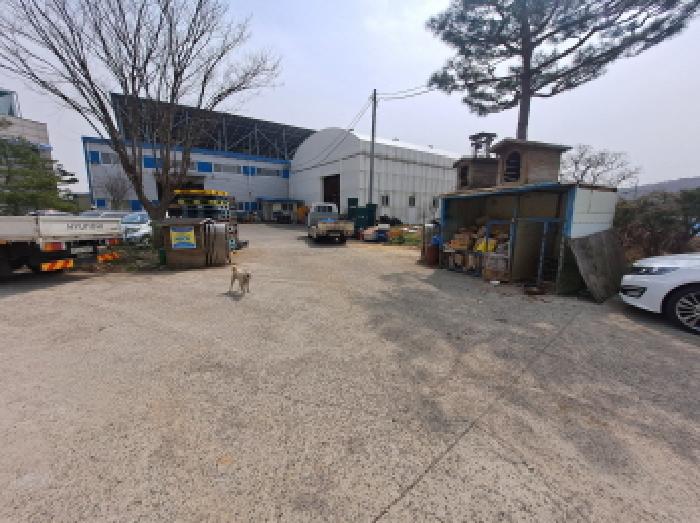 충청남도 당진시 순성면 옥호리 535-6 외 4필지 임야 경매 사진 12