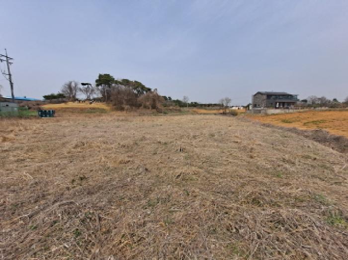 충청남도 당진시 순성면 옥호리 535-6 외 4필지 임야 경매 사진 18