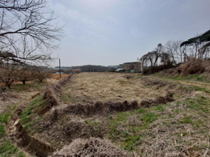 충청남도 당진시 순성면 옥호리 535-6 외 4필지 임야 경매 사진 19