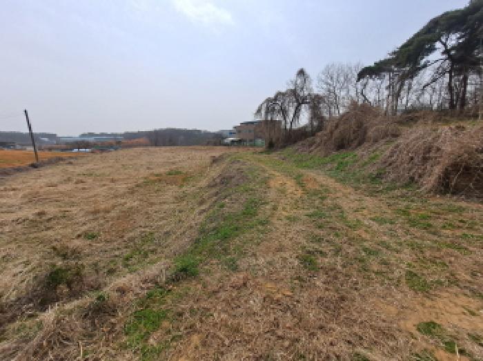 충청남도 당진시 순성면 옥호리 535-6 외 4필지 임야 경매 사진 20