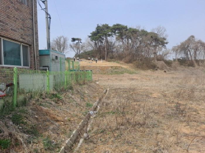 충청남도 당진시 순성면 옥호리 535-6 외 4필지 임야 경매 사진 4