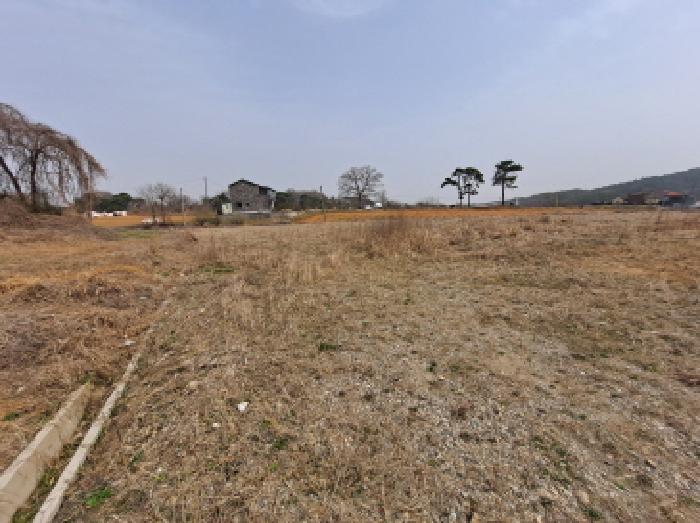 충청남도 당진시 순성면 옥호리 535-6 외 4필지 임야 경매 사진 9