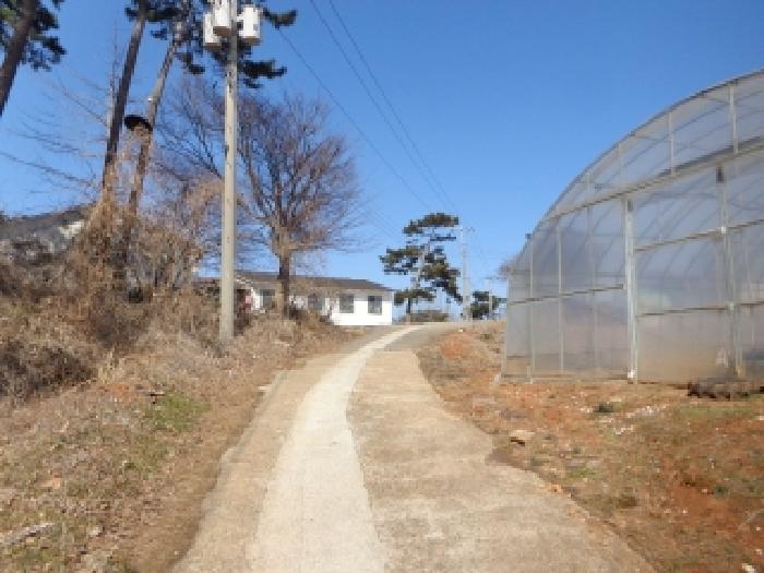 충청남도 태안군 근흥면 용신리 587-4 외 8필지 근린생활시설 경매 사진 27