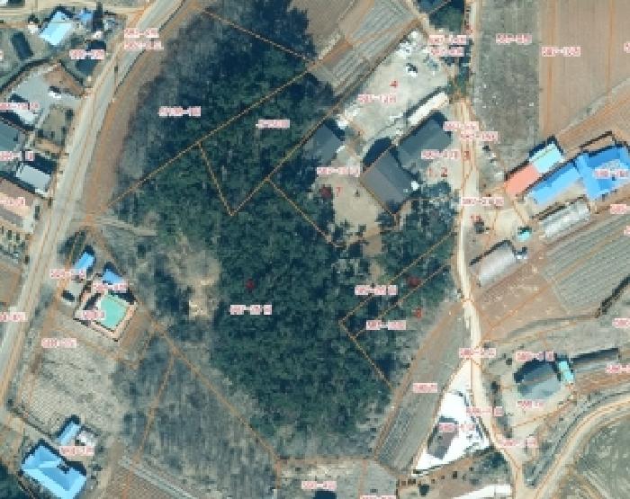 충청남도 태안군 근흥면 용신리 587-4 외 8필지 근린생활시설 경매 사진 6
