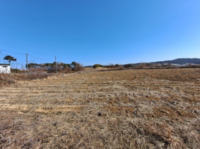충청남도 당진시 순성면 백석리 150-8 외 9필지 임야 경매 사진 14