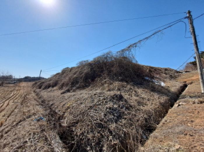 충청남도 당진시 순성면 백석리 150-8 외 9필지 임야 경매 사진 15