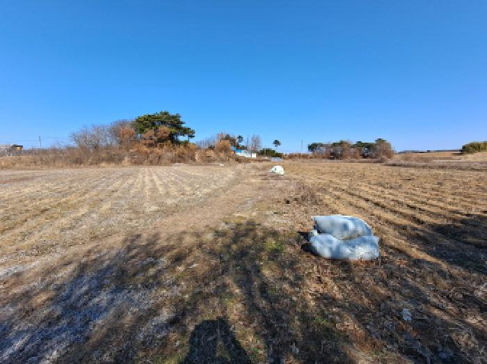 충청남도 당진시 순성면 백석리 150-8 외 9필지 임야 경매 사진 18