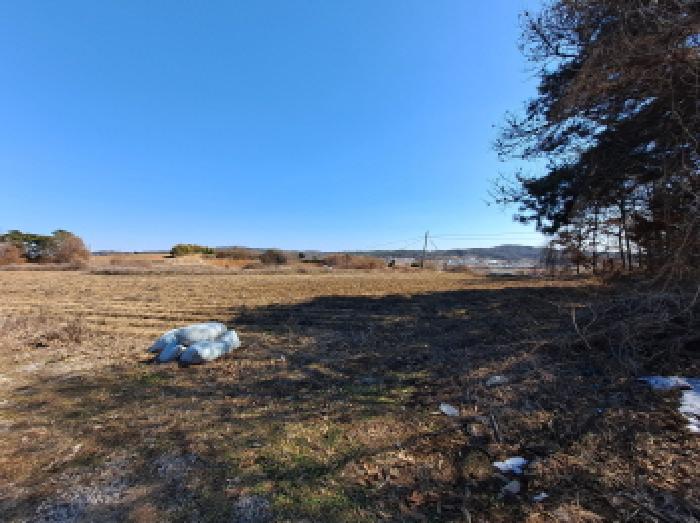 충청남도 당진시 순성면 백석리 150-8 외 9필지 임야 경매 사진 28