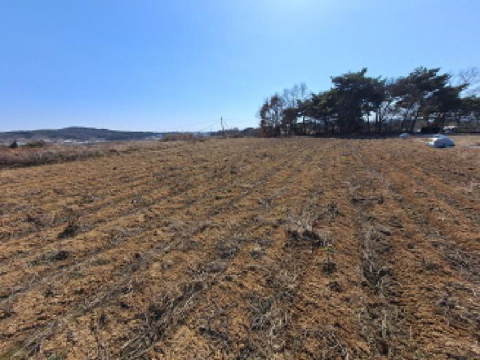 충청남도 당진시 순성면 백석리 150-8 외 9필지 임야 경매 사진 31