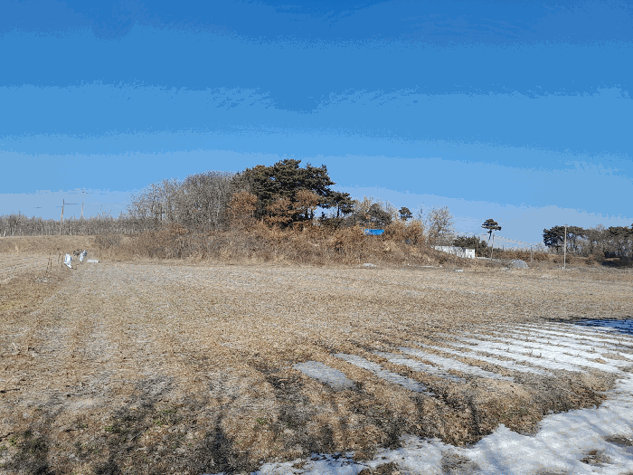 충청남도 당진시 순성면 백석리 150-8 외 9필지 임야 경매 사진 38