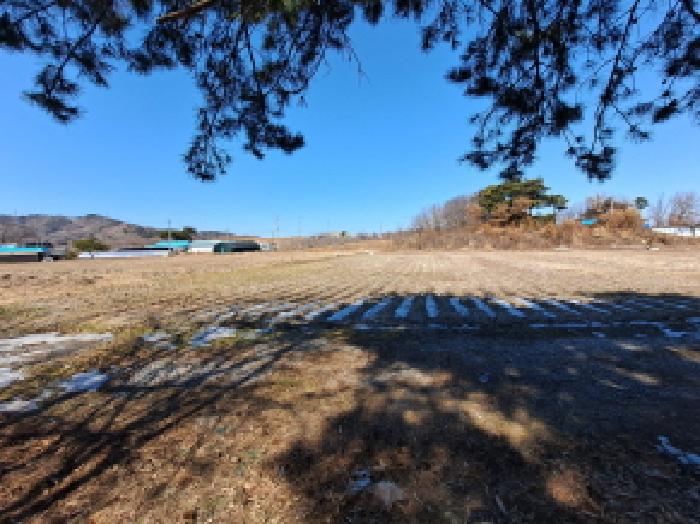 충청남도 당진시 순성면 백석리 150-8 외 9필지 임야 경매 사진 8