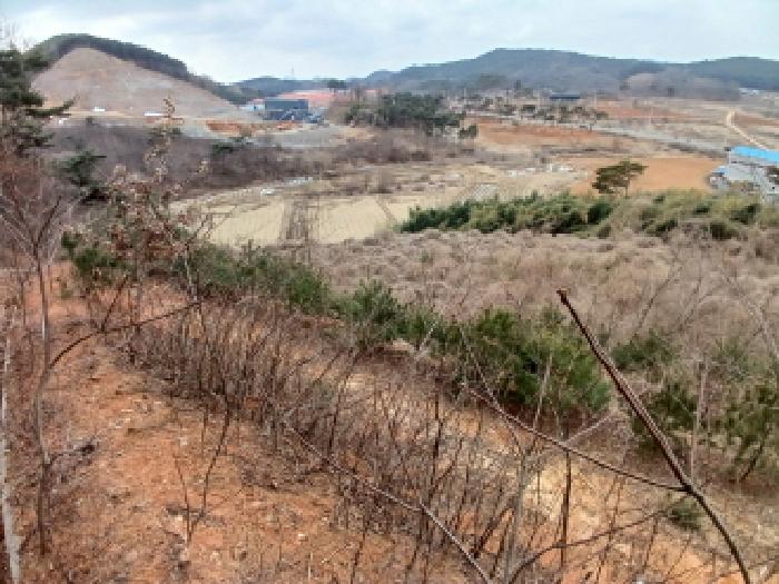 충청남도 당진시 고대면 진관리 1241-3 외 8필지 임야 경매 사진 11
