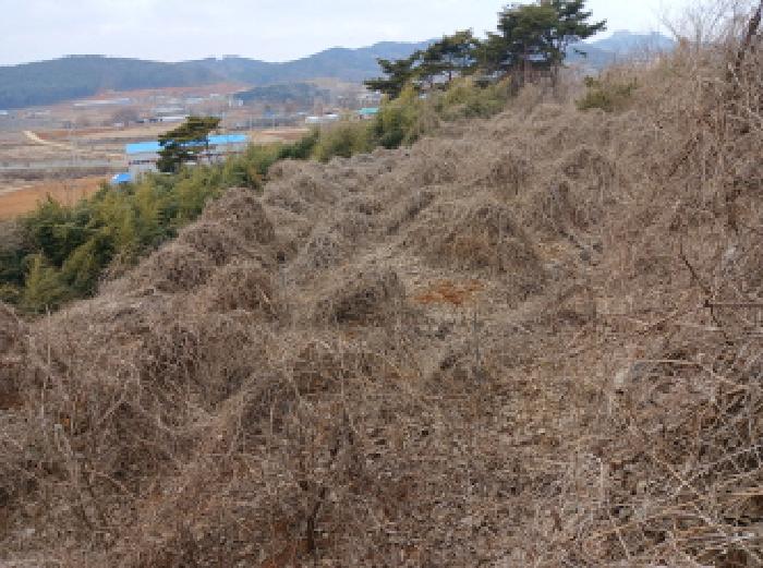 충청남도 당진시 고대면 진관리 1241-3 외 8필지 임야 경매 사진 12