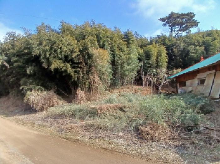 충청남도 당진시 고대면 진관리 1241-3 외 8필지 임야 경매 사진 13