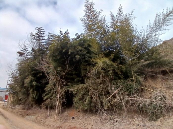 충청남도 당진시 고대면 진관리 1241-3 외 8필지 임야 경매 사진 15
