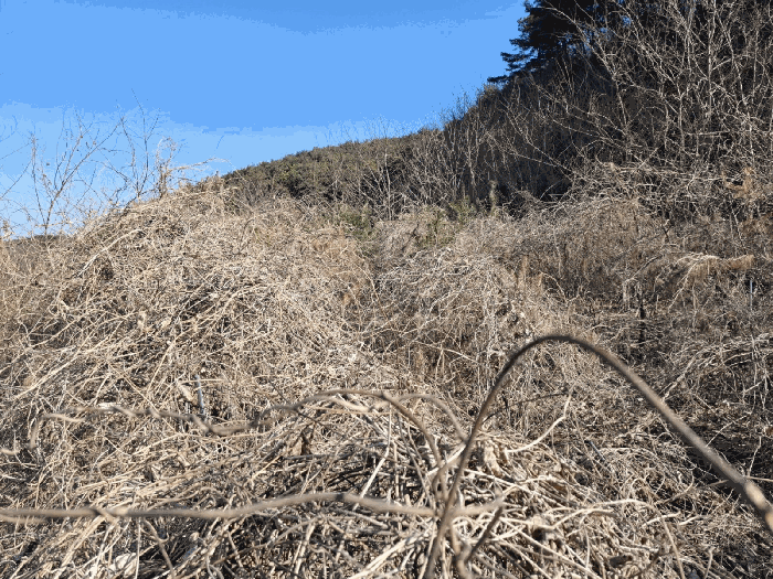 충청남도 당진시 고대면 진관리 1241-3 외 8필지 임야 경매 사진 18