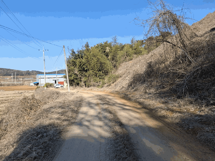 충청남도 당진시 고대면 진관리 1241-3 외 8필지 임야 경매 사진 19