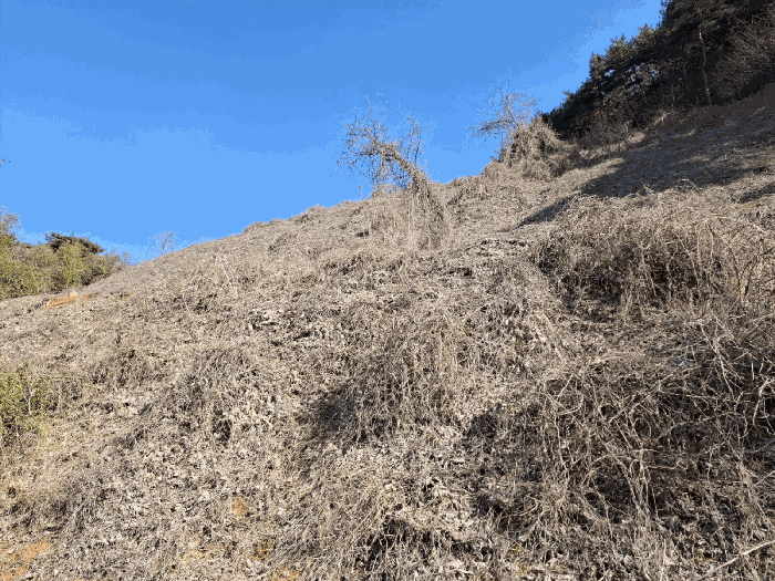 충청남도 당진시 고대면 진관리 1241-3 외 8필지 임야 경매 사진 21