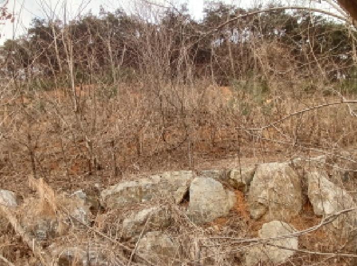 충청남도 당진시 고대면 진관리 1241-3 외 8필지 임야 경매 사진 4