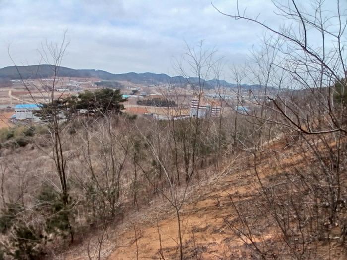 충청남도 당진시 고대면 진관리 1241-3 외 8필지 임야 경매 사진 5