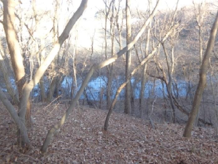 충청남도 태안군 고남면 누동리 1116-16 잡종지 경매 사진 11