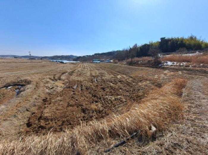 충청남도 당진시 면천면 성하리 53-1 외 4필지 전 경매 사진 1