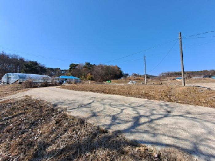 충청남도 당진시 면천면 성하리 53-1 외 4필지 전 경매 사진 3