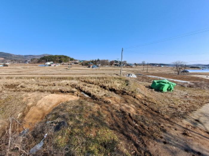충청남도 당진시 면천면 성하리 53-1 외 4필지 전 경매 사진 4