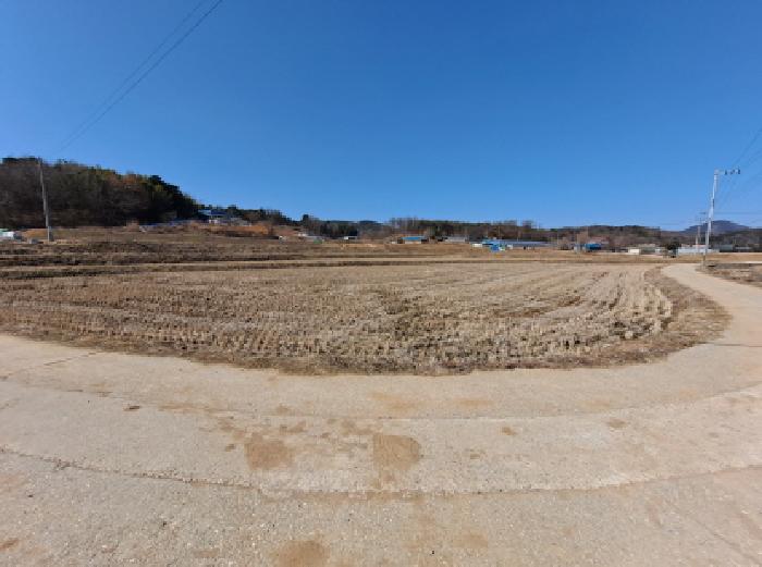 충청남도 당진시 면천면 성하리 53-1 외 4필지 전 경매 사진 5