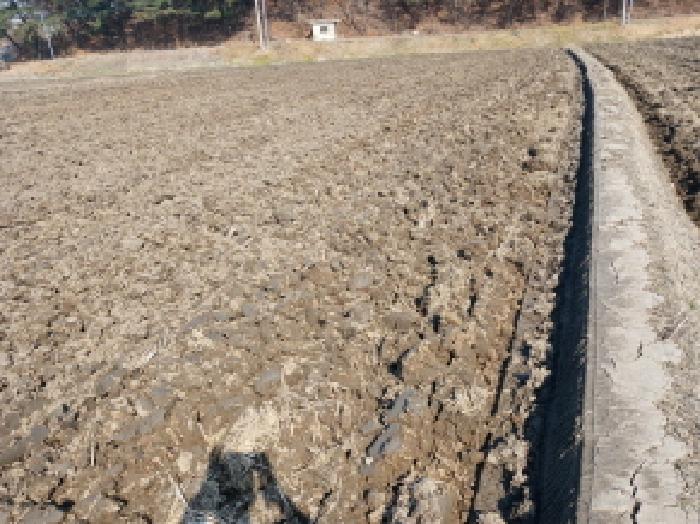 충청남도 당진시 석문면 교로리 967 외 4필지 답 경매 사진 5