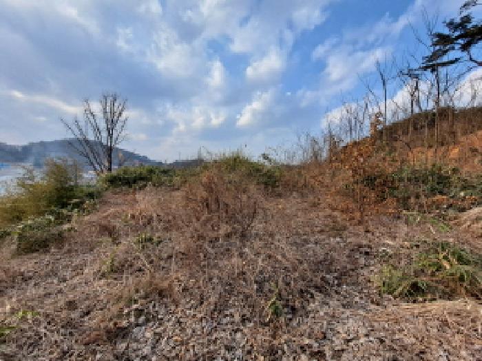 충청남도 당진시 송악읍 월곡리 161-3 임야 경매 사진 35