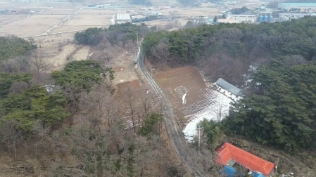 충청남도 당진시 송악읍 월곡리 161-3 임야 경매 사진 21