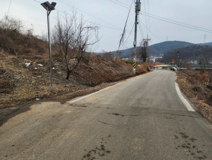 충청남도 당진시 송악읍 월곡리 161-3 임야 경매 사진 24