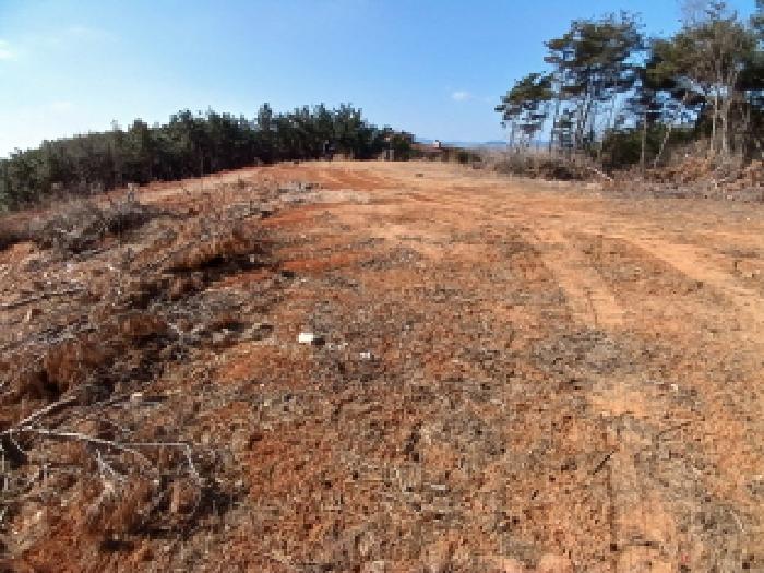 충청남도 당진시 석문면 교로리 935-9 외 1필지 임야 경매 사진 5