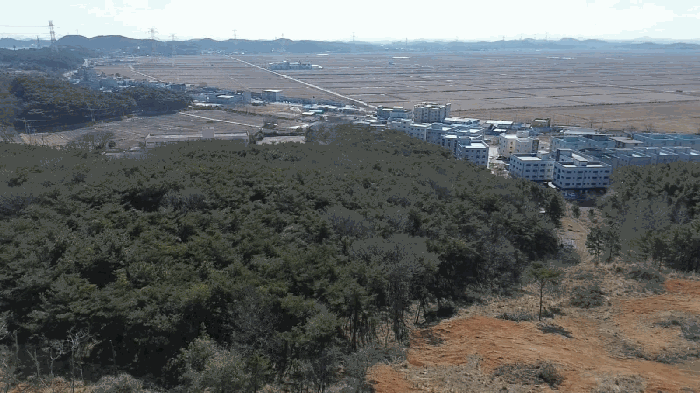 충청남도 당진시 석문면 교로리 935-9 외 1필지 임야 경매 사진 7