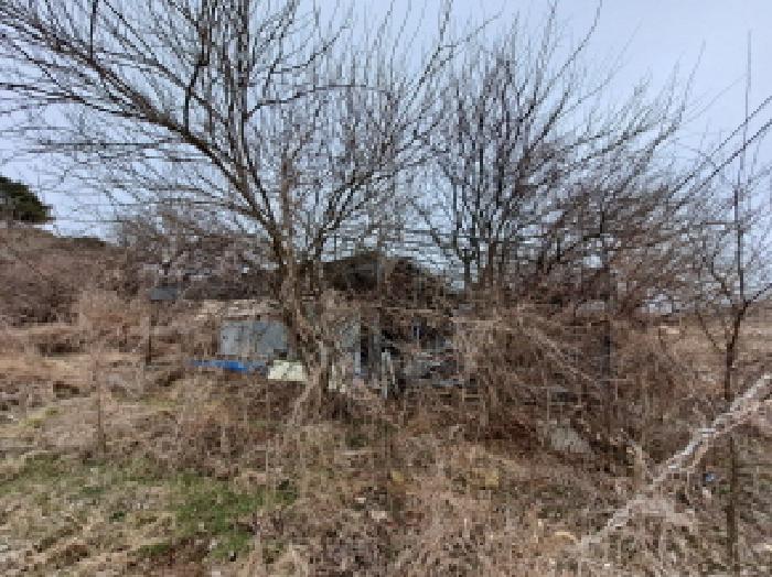 충청남도 당진시 신평면 부수리 367 외 6필지 목장용지 경매 사진 13