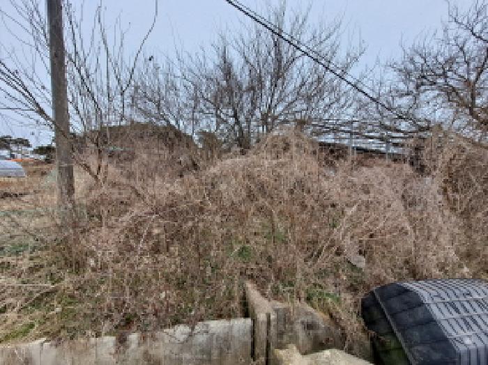 충청남도 당진시 신평면 부수리 367 외 6필지 목장용지 경매 사진 18