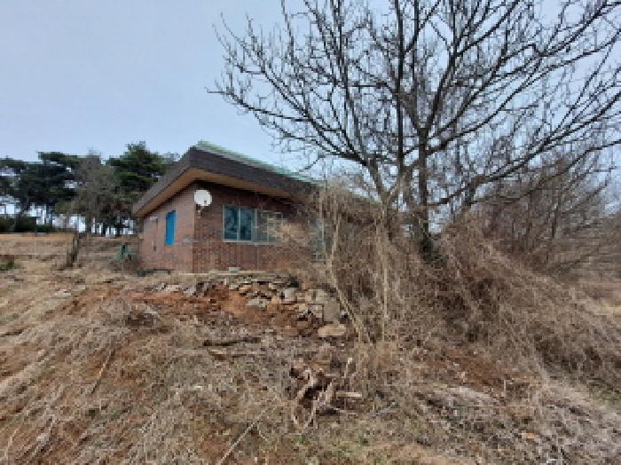 충청남도 당진시 신평면 부수리 367 외 6필지 목장용지 경매 사진 32