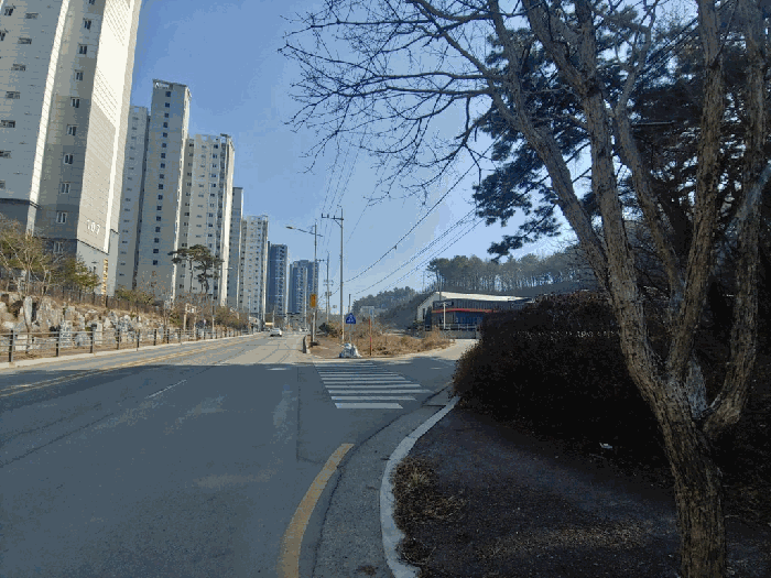 충청남도 서산시 성연면 일람리 185-9 근린생활시설 경매 사진 15