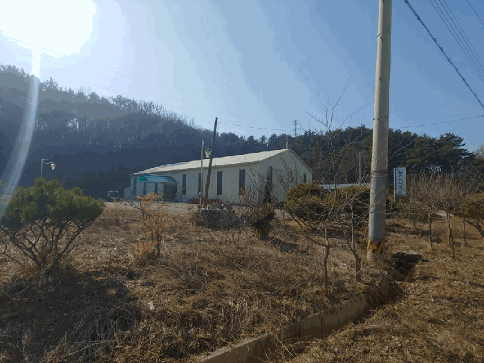충청남도 서산시 성연면 일람리 185-9 근린생활시설 경매 사진 17