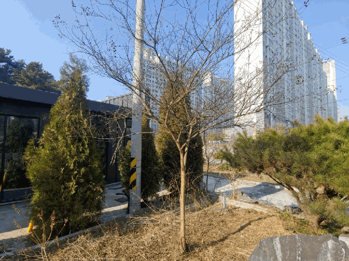 충청남도 서산시 성연면 일람리 185-9 근린생활시설 경매 사진 20