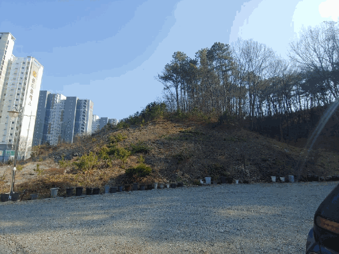 충청남도 서산시 성연면 일람리 185-9 근린생활시설 경매 사진 9