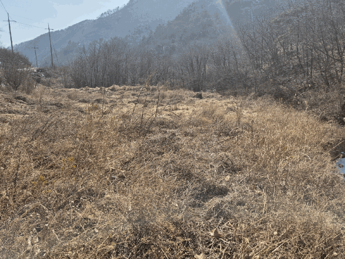 경상북도 영천시 화남면 용계리 424 답 경매 사진 13