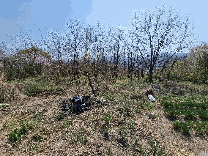 경상북도 영천시 신녕면 완전리 775-3 전 경매 사진 13