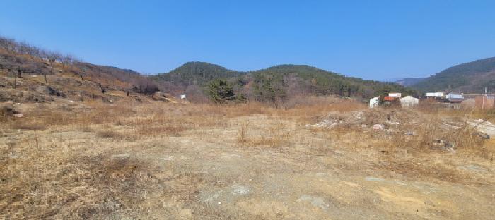 대구광역시 동구 봉무동 951 외 2필지 전 경매 사진 3