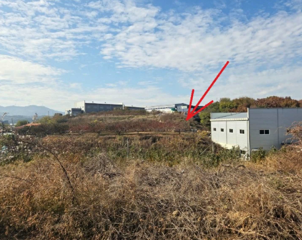 경상북도 경산시 압량읍 당리리 523-20 외 3필지 공장 경매 사진 19