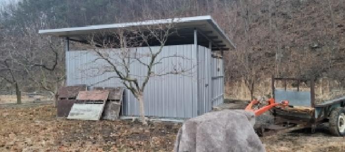 경상북도 청도군 이서면 신촌리 234 외 1필지 답 경매 사진 6